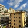 MONACO CARRÉ D'OR 2 PIECES RENOVE MEUBLE MIXTE CAVE
